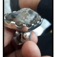 انگشتر زوعه مار