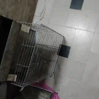 قفس جفت کن
