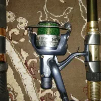 دو عدد لنسر الباستار