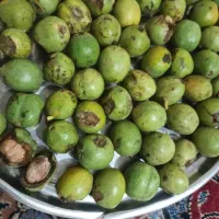 گردو پوست سبز مغز سفید درجه یک