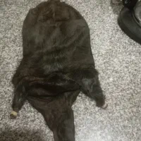 خیگ|ظروف نگهدارنده، پلاستیکی، یک‌بارمصرف|لردگان, |دیوار