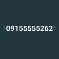 09155555262