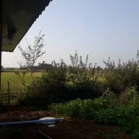 فروش خانه ویلایی|فروش زمین و ملک کلنگی|رشت, سلیمانداراب|دیوار