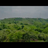 باغ-مرکبات-دارای-رودخانه-وچاه-آب-ویک-اتاقک-وانباری