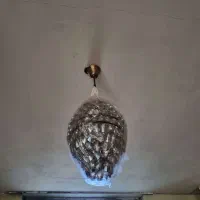 یک جفت لوستر اشکی