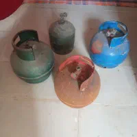 پیک نیک