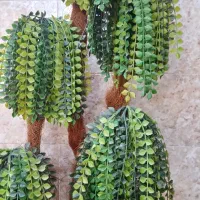 درختچه|گل مصنوعی|اهواز, پردیس دو|دیوار