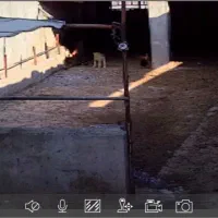 رانندگی و کار در شرکت دباغی