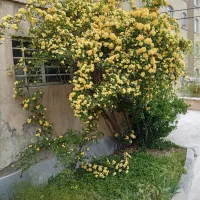 32000مترزمین4دیواری غرب تهران