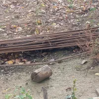 15 تا شاخه سالم میلگرد 14 30 عدد هم پنج متری 14