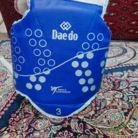 هوگو و روپایی تکواندو