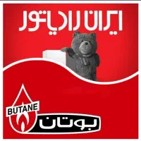 تعمیر و  عیب یابی و سرویس پکیج آبگرمکن  رادیاتور|خدمات پیشه و مهارت|قزوین, |دیوار