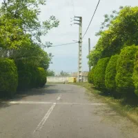 زمین-سنددار-شهرک-برند-سرخرود