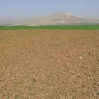 اجاره زمین کشاورزی یک سالانه رحمت آباد