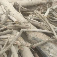 فروش چوب|خدمات باغبانی و درختکاری|شاهینشهر, خبرنگار|دیوار