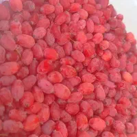 زرشک تازه پنجشنبه وجمعه هر هفته تسویه بعد از تحویل