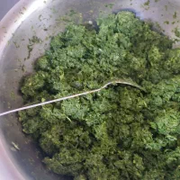 سبزی قورمه تازه خام و سرخ شده|خوردنی و آشامیدنی|میانه, |دیوار