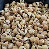 خریدو فروش انجیر و ارسال رایگان به سراسر کشور|خوردنی و آشامیدنی|شیراز, گل سرخ|دیوار