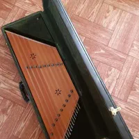 سنتور با کیف مخصوص رمزدار