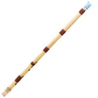 ساز نی مهردار