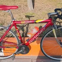 کورسی جاینت