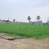 اجاره3هکتار زمین کشاورزی