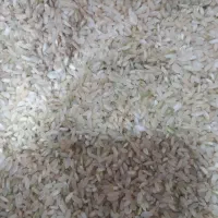 فروش برنج چمپا