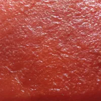 انواع لواشک خونگی|خوردنی و آشامیدنی|شیراز, میانرود|دیوار