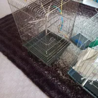 فروش قفسه پرنده