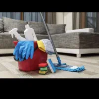 آقای همه کاره