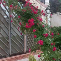 جابکسر جاده سرولات ویلا ۳۷۰متر|اجارهٔ کوتاه‌مدت ویلا و باغ|چابکسر, |دیوار