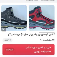 کفش کوهنوردی چهارفصل سایز ۴۳|کوهنوردی و کمپینگ|یاسوج, |دیوار