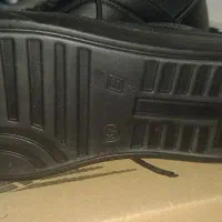 کفش اسپرت نو|کیف، کفش، کمربند|تربت جام, والفجر|دیوار