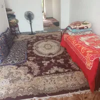 اجاره روزانه سوئیت در راین