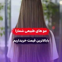 خریدموی طبیعی