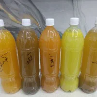 فروش آبلیمو و آبغوره و سرکه و نارنج|خوردنی و آشامیدنی|مبارکه, |دیوار