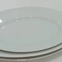 فروش سه عدد دیس چینی