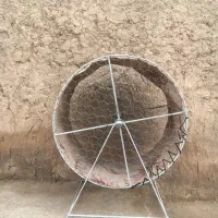 تردمیل خروس