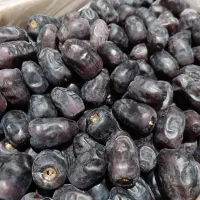 بار خرما مضافتی