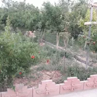 خونه باغ باسند شش دنگ مالکیت
