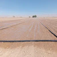 زمین-کشاورزی-در-چناران