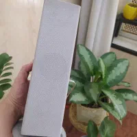 باند