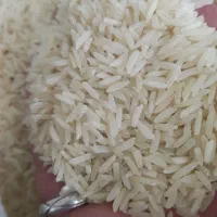 برنج فجر خوشپخت و خوش طعم|خوردنی و آشامیدنی|اصفهان, ابر|دیوار