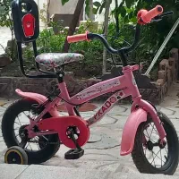 دوچرخه دخترانه12