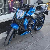 بلنتا z249