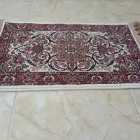 یک جفت پادری نو|پادری|باقرشهر, |دیوار