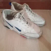 کفش  کتونی  زنانه سایز  ۳۹|کیف، کفش، کمربند|قزوین, |دیوار