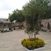 هرس زمستانه انواع درخت (اصولی و تخصصی)