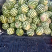 هندوانه