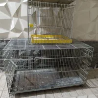 5تا قفس پرنده|لوازم جانبی حیوانات|جاجرود, |دیوار
